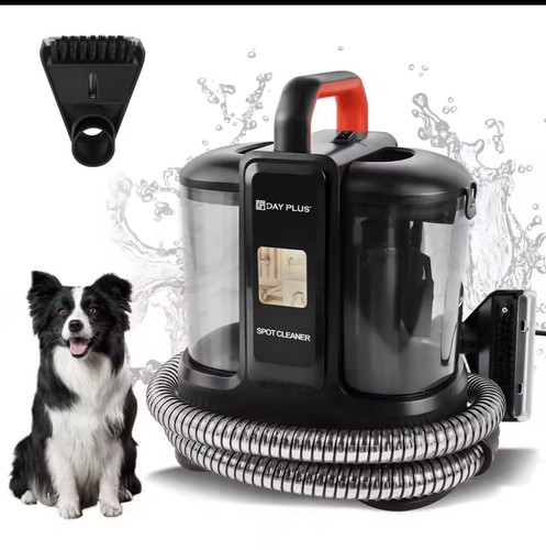Carpet sofa pet messes cleaner - carpet,