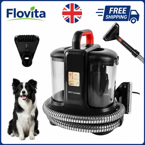 Portable spot cleaner - spot,