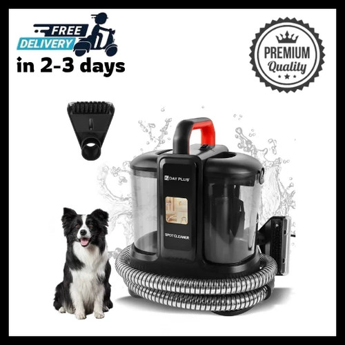 Portable spot cleaner - spot, carpet